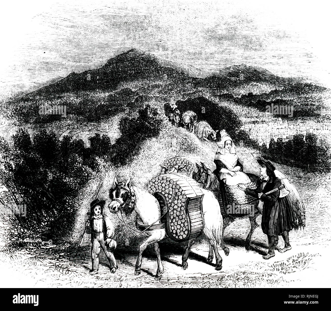 Une gravure illustrant les bûcherons en Normandie transportant leur carburant en crooks sur chevaux. Banque D'Images