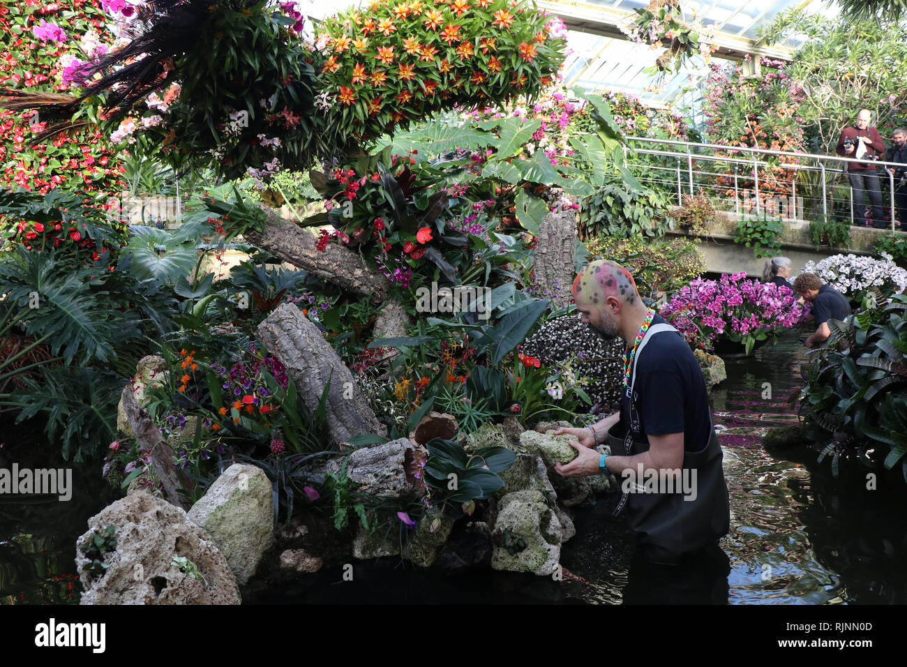 Festival d'Orchidées Kew : Célébrer la couleur de la Colombie 9 février à mars 2019 Banque D'Images