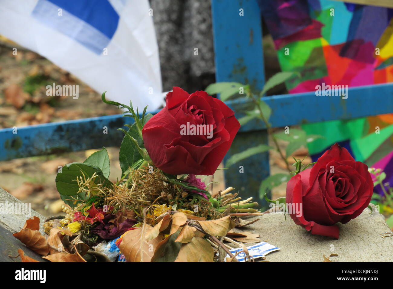 Roses sur un mémorial pour les victimes de l'Holocauste qui fosses creusées et, plus tard, ont été abattus à l'intérieur d'eux. Banque D'Images