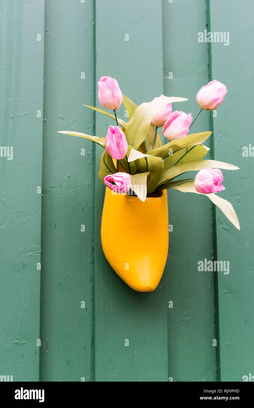 Sabot fleuri avec des tulipes, dans un jardin en automne, Allemagne Photo  Stock - Alamy