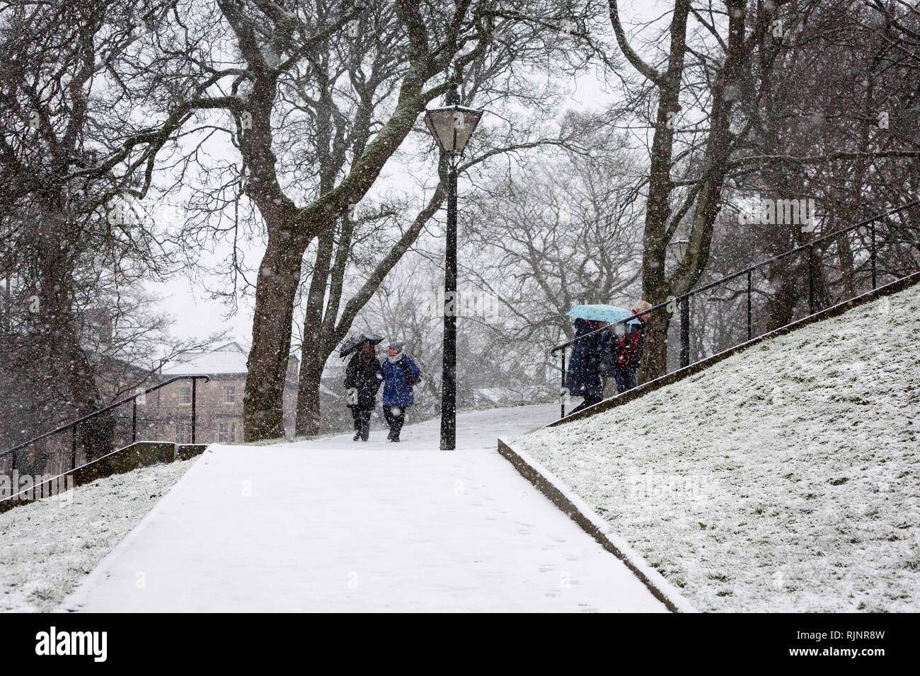 © Chris Bull. 29/01/19 BUXTON , Royaume-Uni. Hiver Météo hits Derbyshire , Angleterre , aujourd'hui (mardi 29 janvier 2019). La chute de neige est représenté à Buxton. Photo prise dans le Pavilion Gardens Crédit photo : CHRIS BULL Banque D'Images