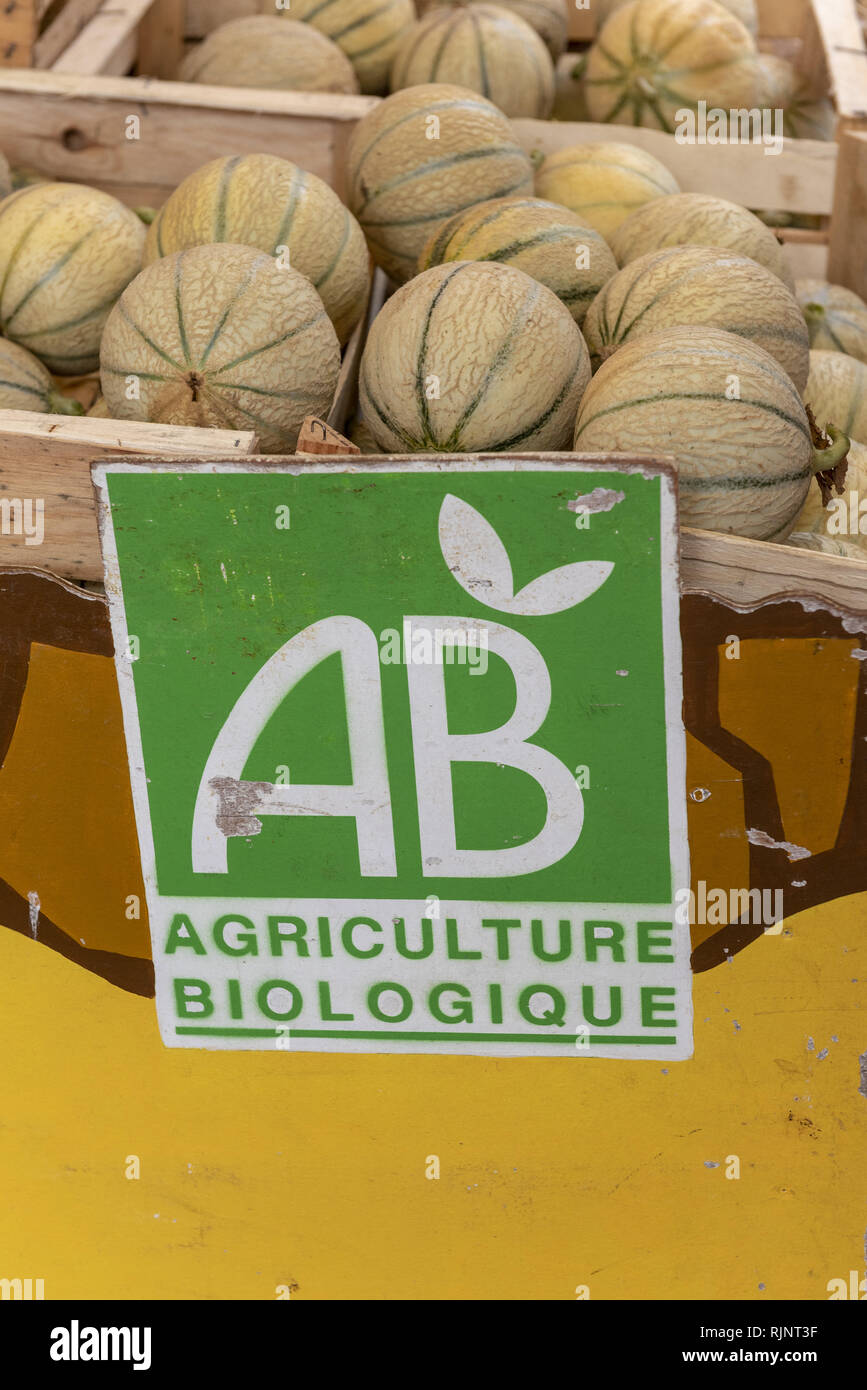 Les melons de l'agriculture biologique sur un marché, l'été, l'Ardèche, France Banque D'Images