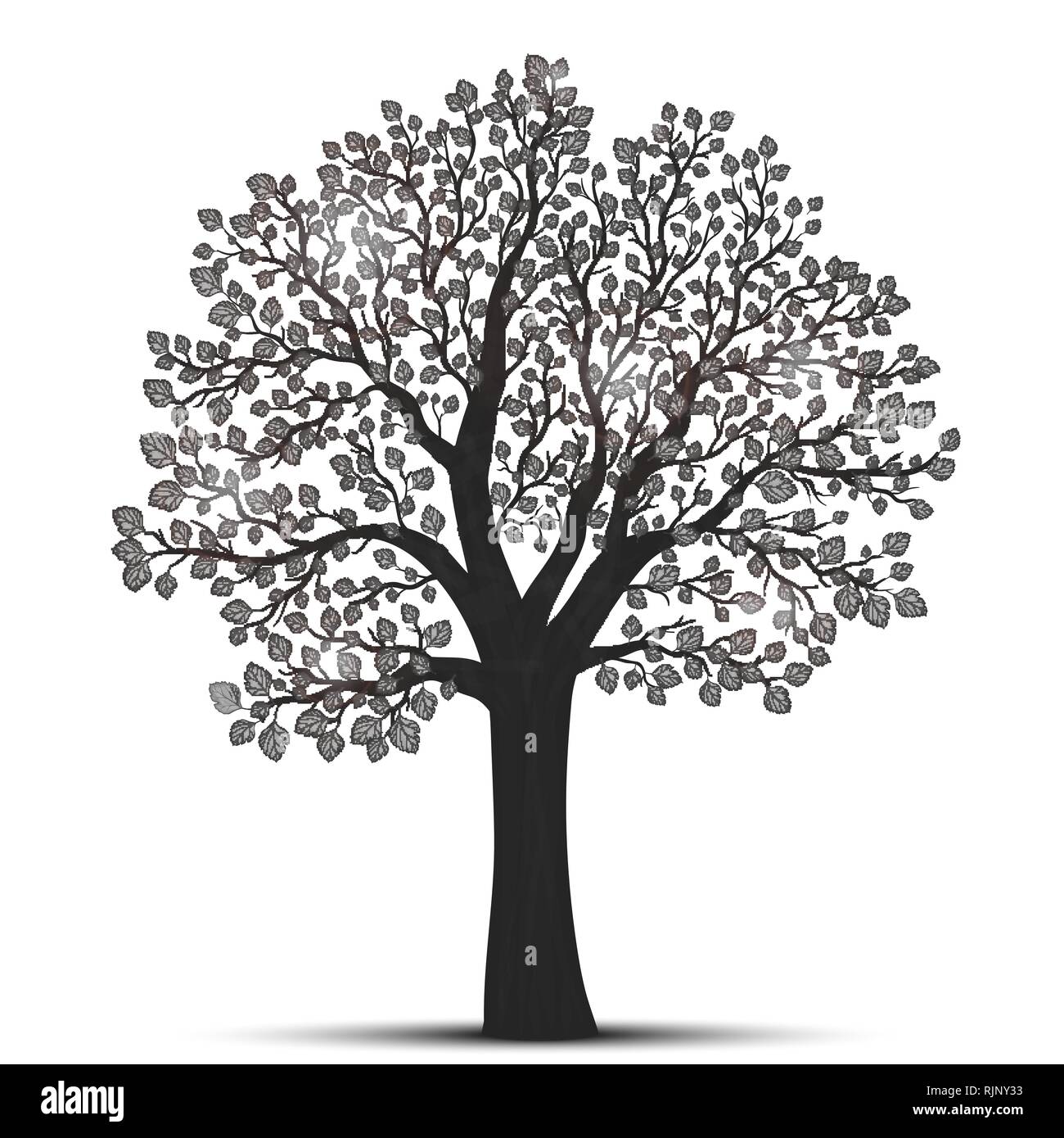La silhouette des arbres avec des feuilles Illustration de Vecteur