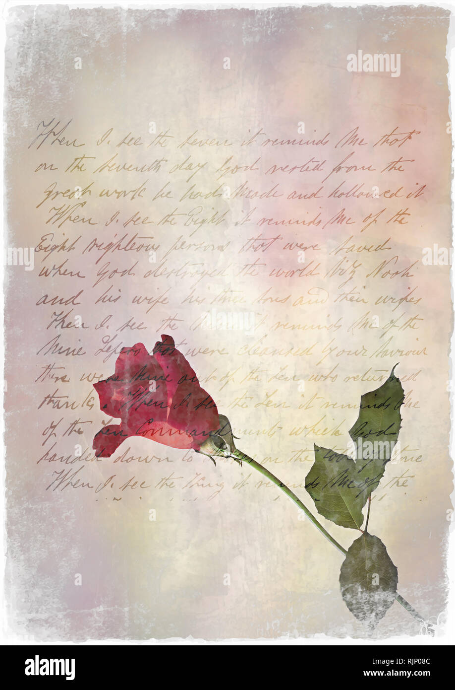 Vintage frame avec retro design, vieux papier, fleur rose, notes, texte manuscrit. Carte postale d'arrière-plan pour votre modèle. Banque D'Images