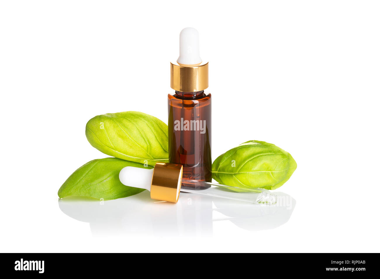 Huile essentielle Basilic flacon avec compte-gouttes isolé sur fond blanc. L'huile de basilic pour soins de la peau, spa, bien-être, massage, aromathérapie et naturel medici Banque D'Images