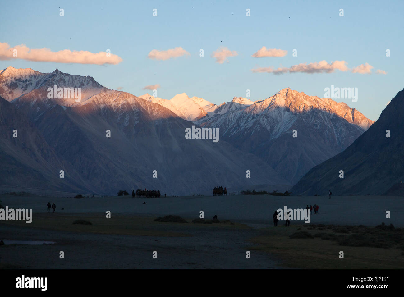 Les touristes à cheval les chameaux de Bactriane dans le magnifique coucher de soleil paysage dans la région de dunes de sable près de la vallée de Nubra, Dogs, le Ladakh, le Jammu-et-Cachemire, l'Inde Banque D'Images