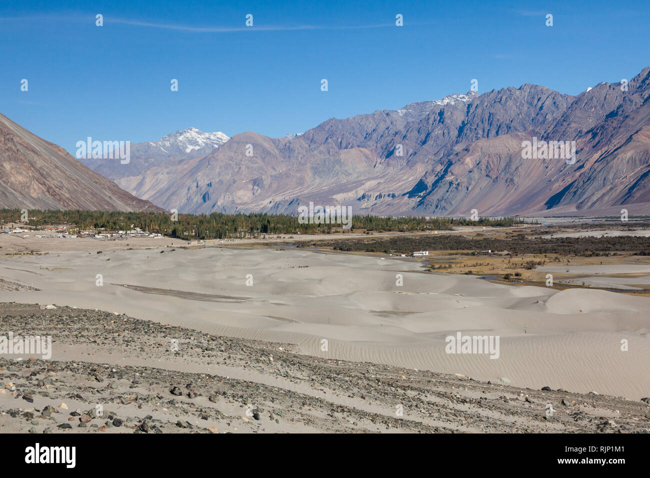 Paysage avec des dunes de sable dans le domaine de la vallée de Nubra, Dogs, le Ladakh, le Jammu-et-Cachemire, l'Inde Banque D'Images