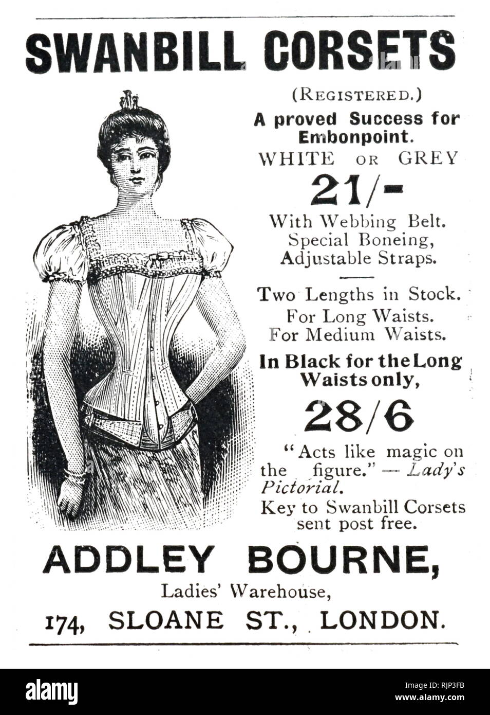 Une gravure représentant un corset de baleine. En date du 19e siècle Photo  Stock - Alamy