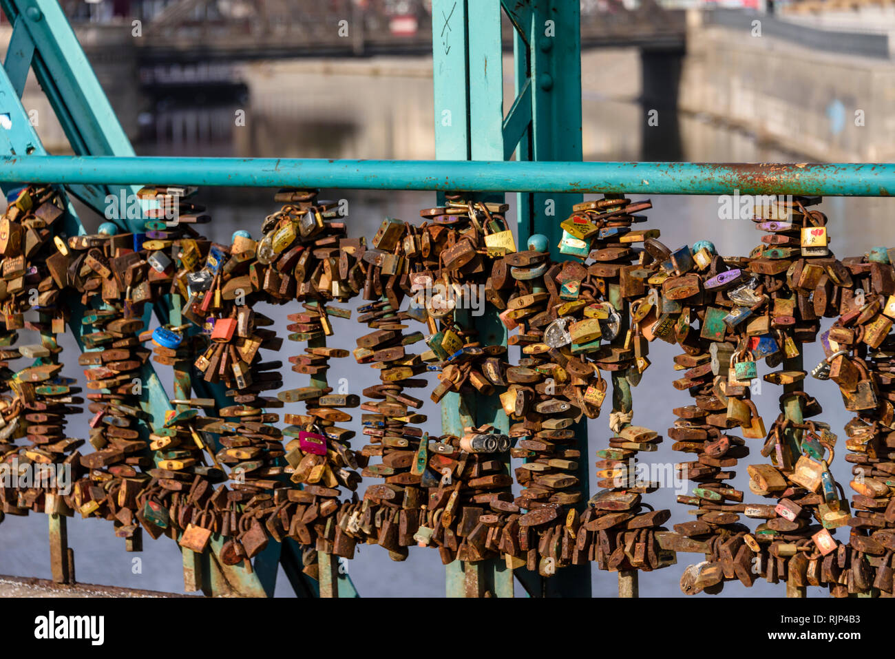 Des milliers de cadenas sur la plupart pont Tumski, laissés par des couples pour montrer leur amour, Wroclaw, Wroclaw, Wroklaw, Pologne Banque D'Images