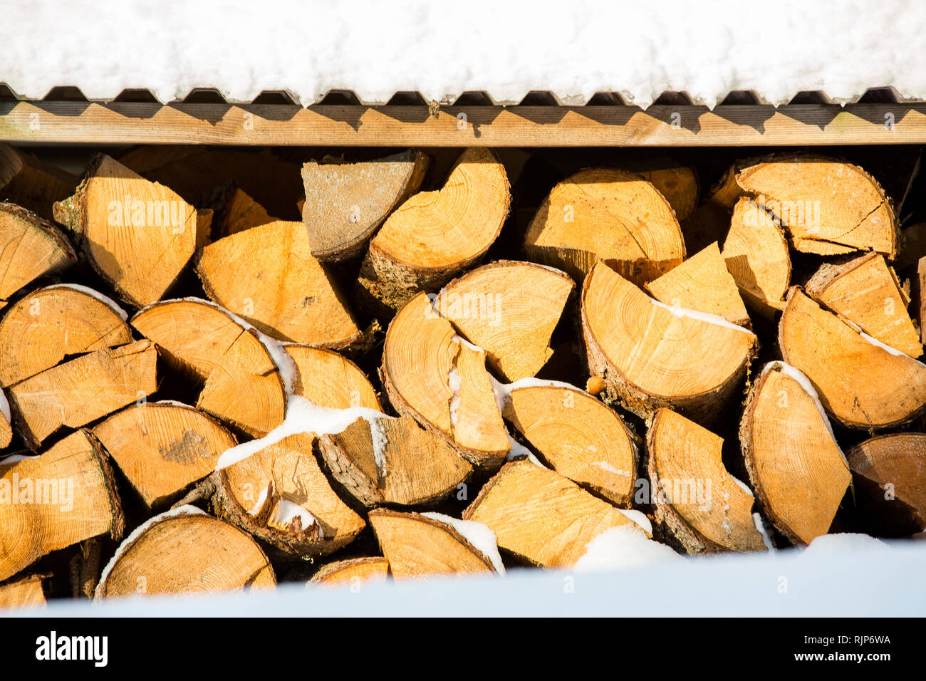 Couverte de neige partiellement hachés, le bois de bouleau dans l'entreposage, la Finlande, l'Europe Banque D'Images