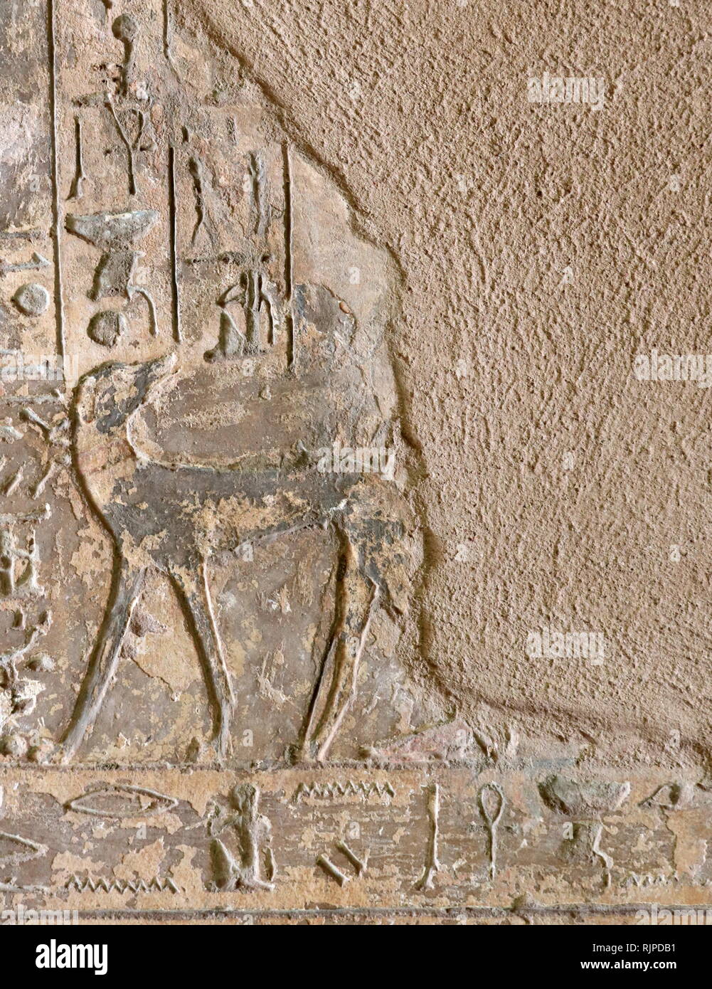 18e dynastie tombe de Paheri, à Elkab,au sud de Thèbes, Égypte. datant de du nouveau royaume dans le milieu de la xviiie dynastie, sous le règne de Thoutmosis III. La tombe avait déjà été localisé par les savants de l'expédition égyptienne en 1799. Les titres associés à Paheri sont celles de Showtime (gouverneur prince) et scribe. Il est souvent appelé showtime de Nekheb et Anyt Banque D'Images