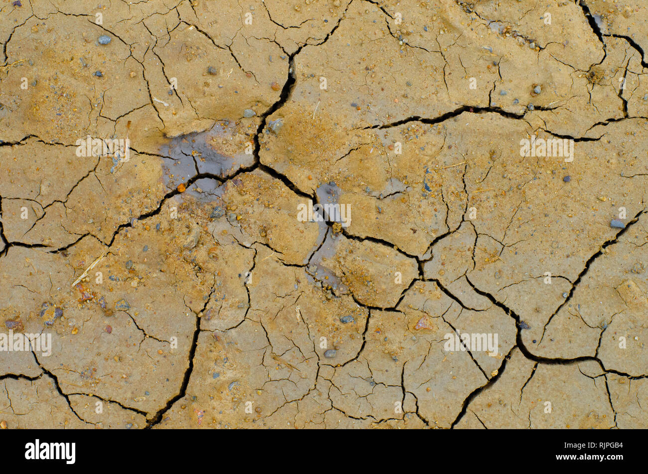 Les fissures et les fissures dans la terre sèche, créer de belles images textures riches. Banque D'Images