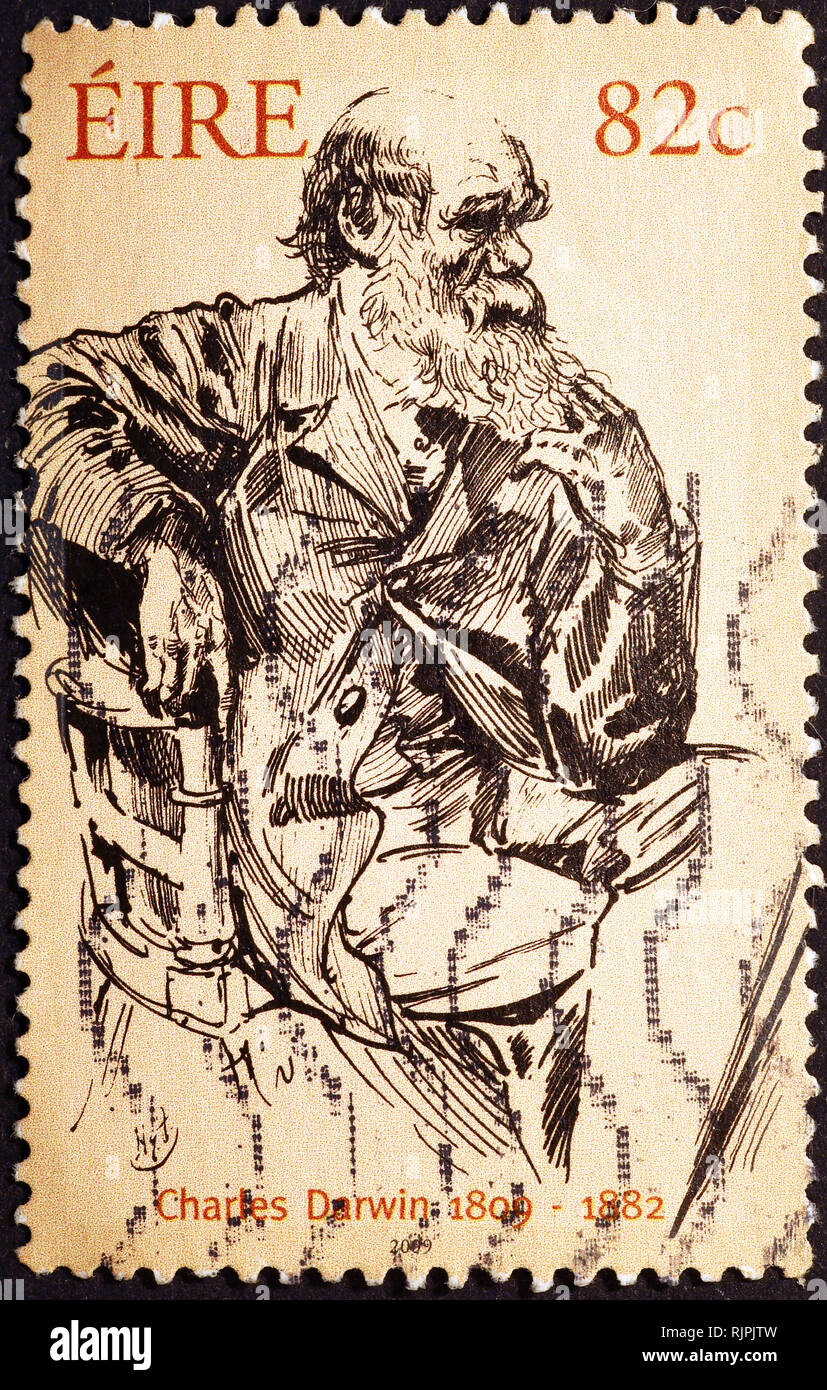 Charles Darwin sur timbre irlandais Banque D'Images