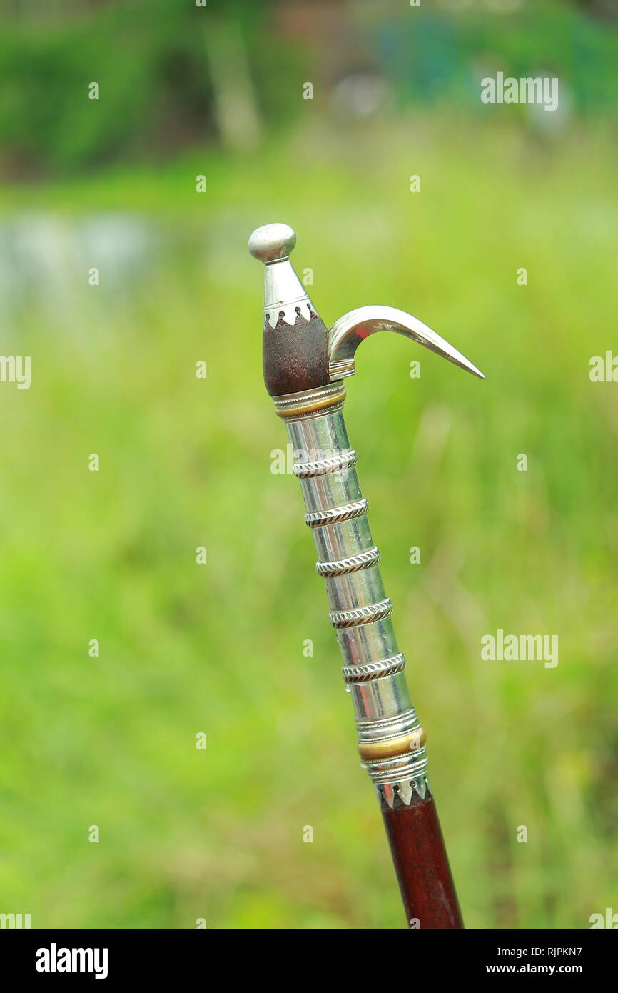 Les éléphants du Kerala Banque D'Images