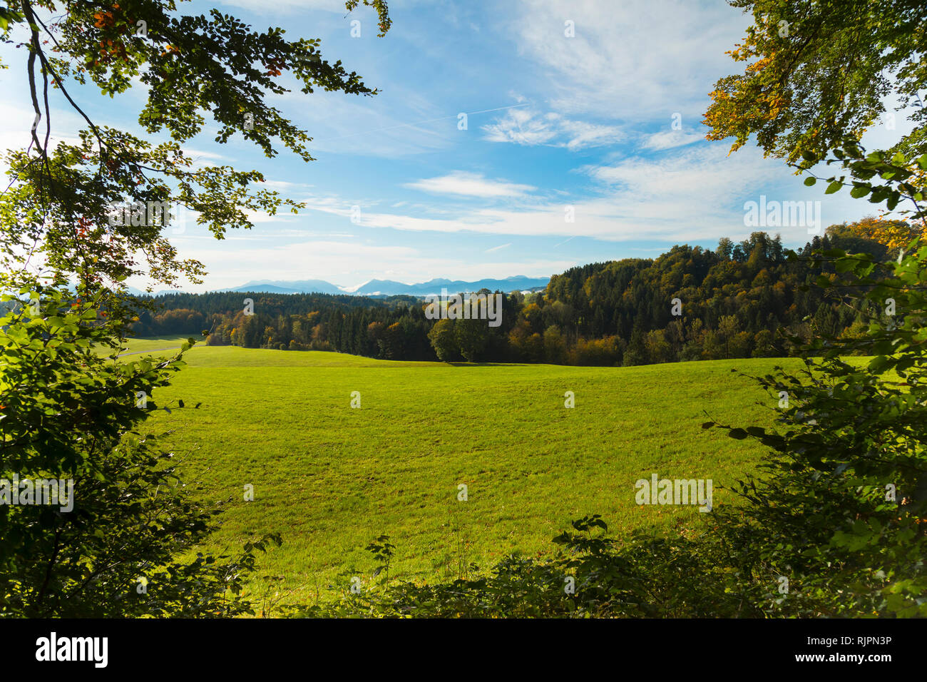 Paysage de champ lointain avec les forêts et les montagnes, Bavière, Allemagne Banque D'Images