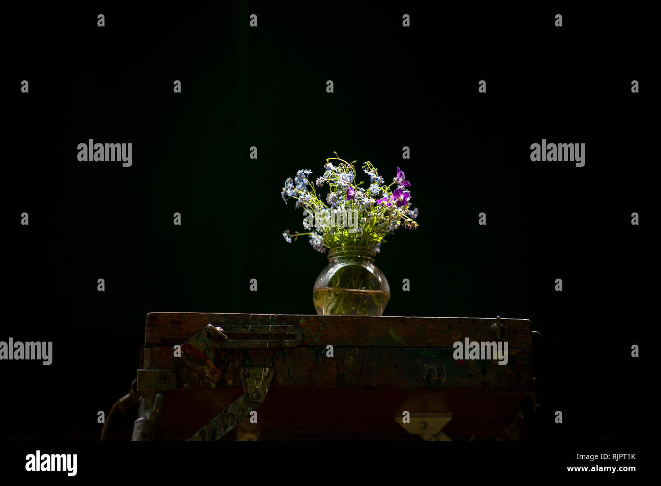 Violet et bleu fleurs en pot et still life Banque D'Images