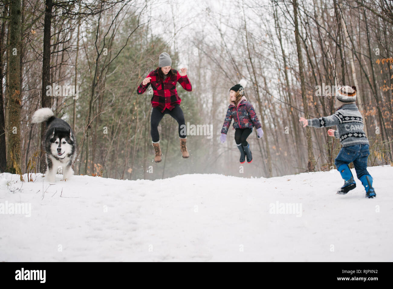 Famille avec chien jouant dans paysage de neige Banque D'Images
