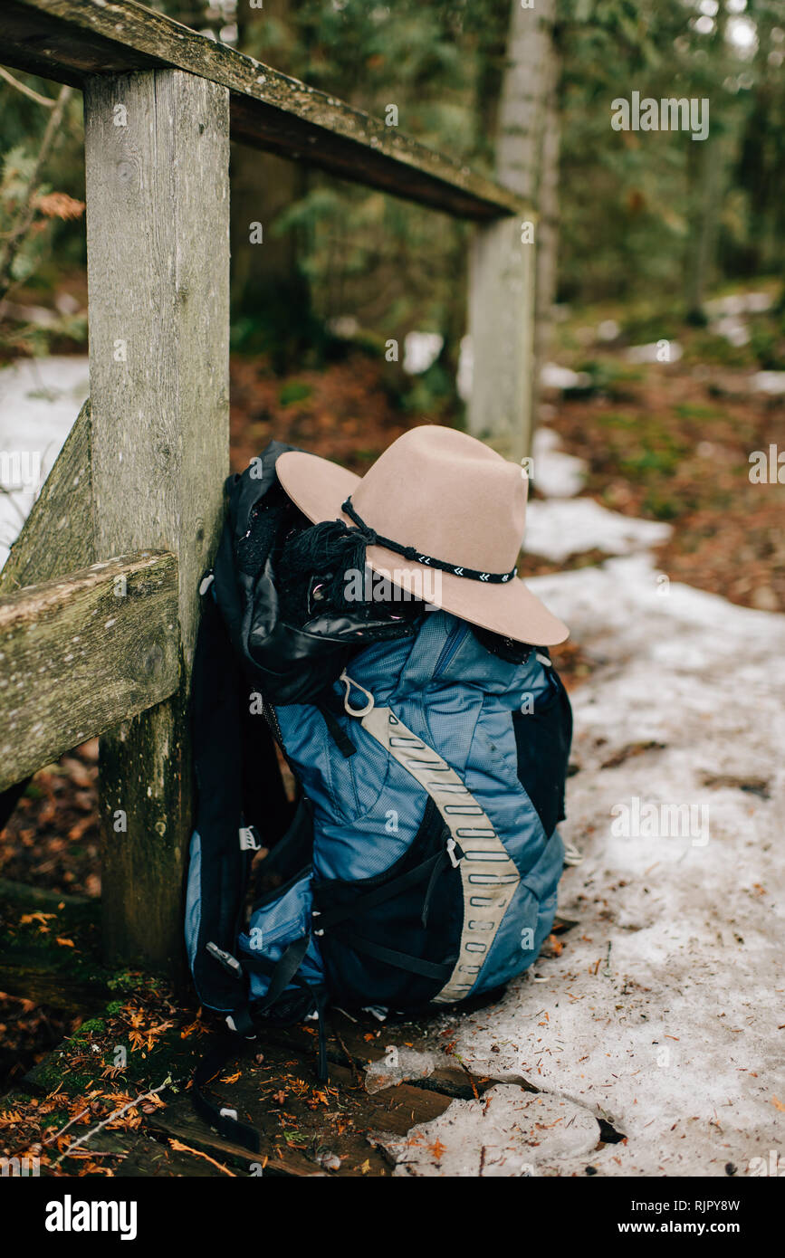 Chapeau et sac à dos s'appuyant sur la structure du bois en forêt Banque D'Images