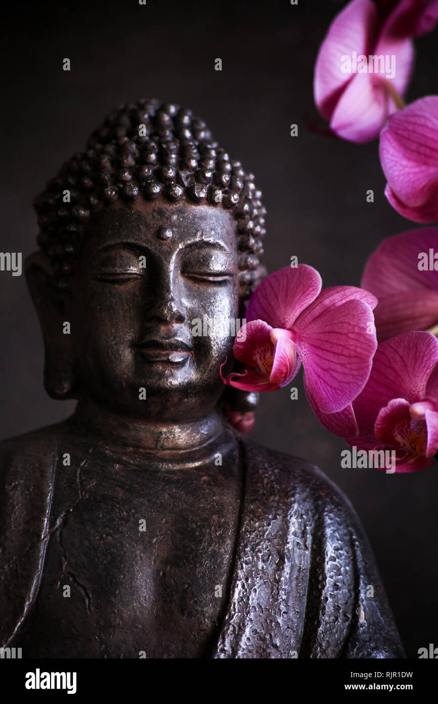 Bouddha en méditation avec orchidée sur fond sombre Banque D'Images