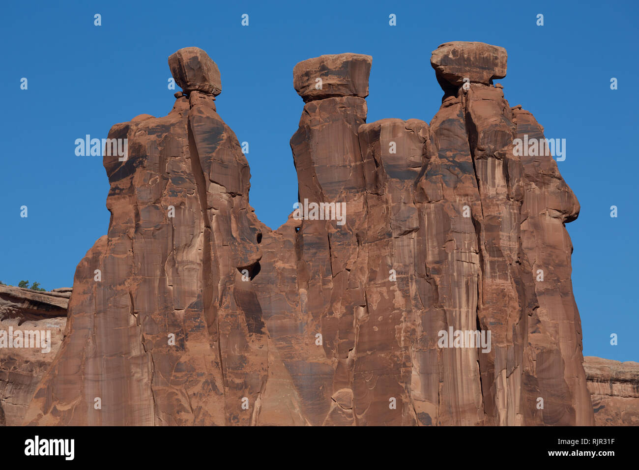 Une vue rapprochée des trois commères dans le palais de justice de Tours Arches National Park, Utah, l'Amérique Banque D'Images