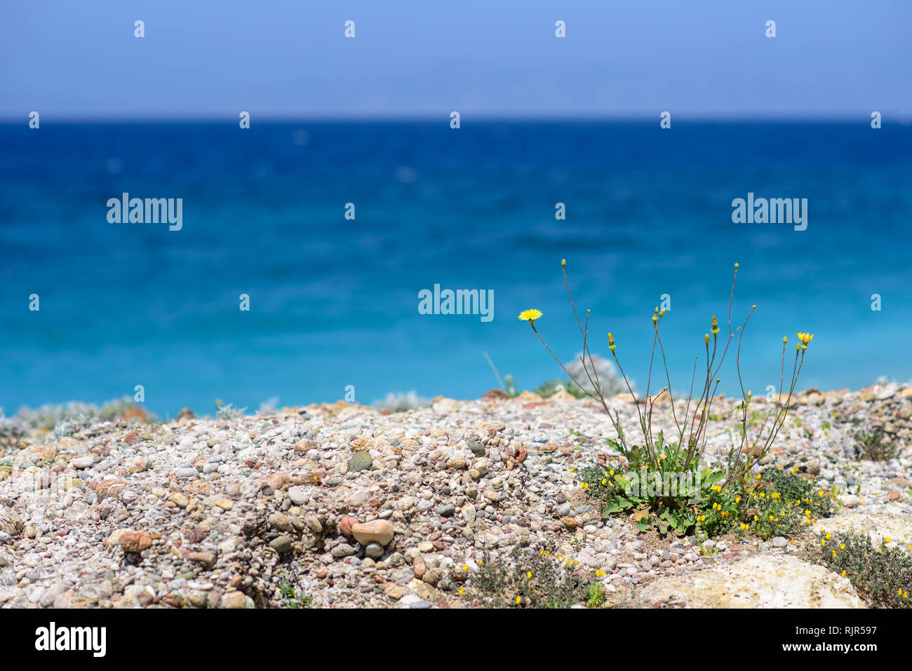 Voir à partir de la falaise pour mer Méditerranée sur l'île rocheuse de Rhodes, Grèce Banque D'Images