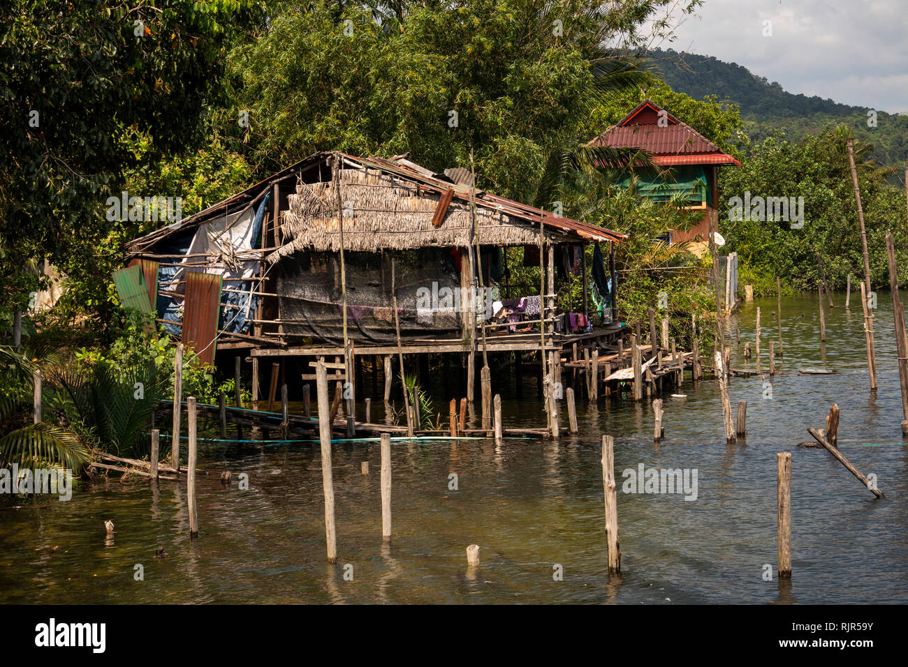 Cm273 Le Cambodge, la province de Koh Kong, la rivière Tatai, riverside maisons de pêcheurs sur pilotis Banque D'Images