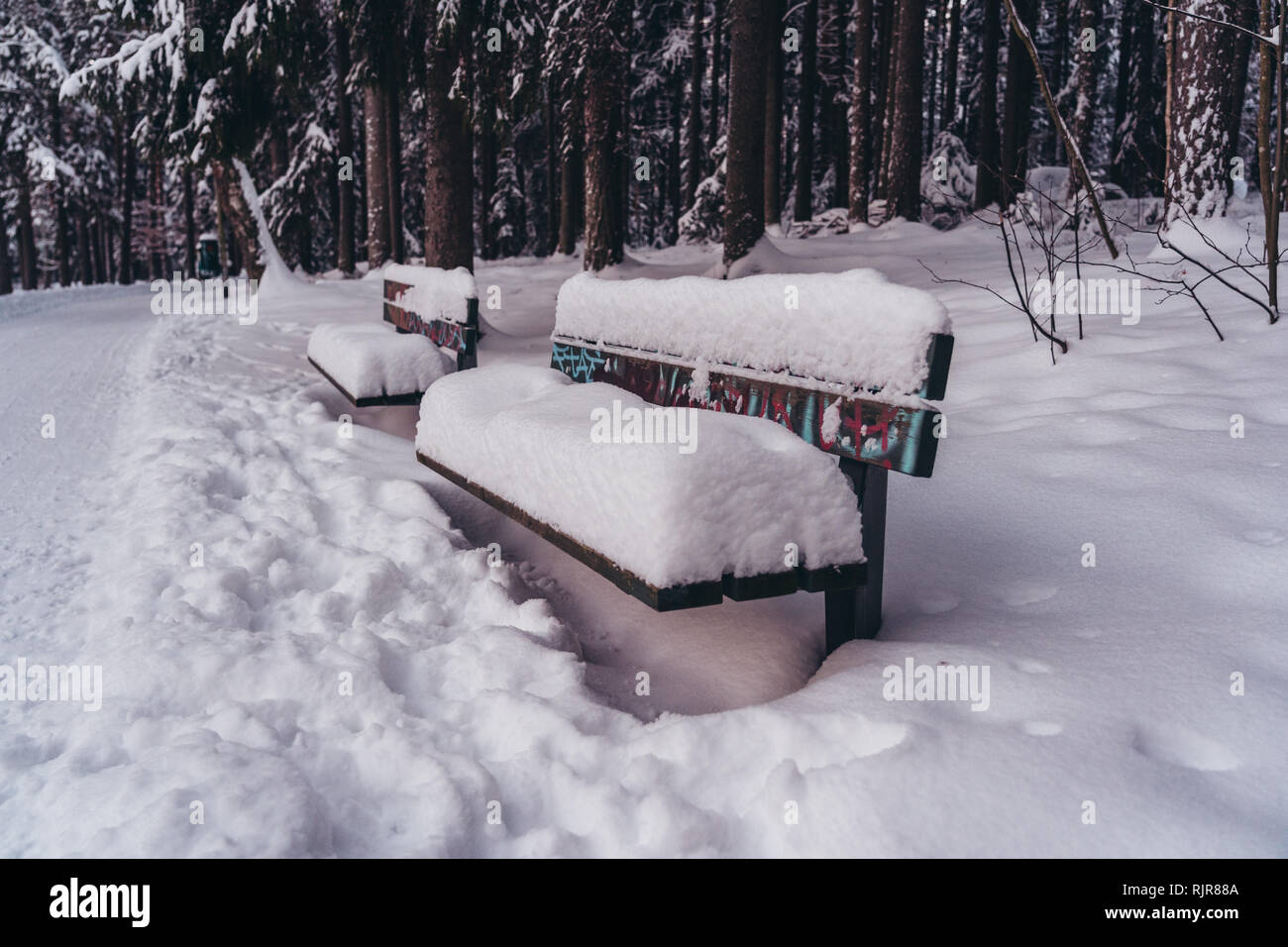 Banc de parc entièrement recouvert de neige sur un jour d'hiver Banque D'Images