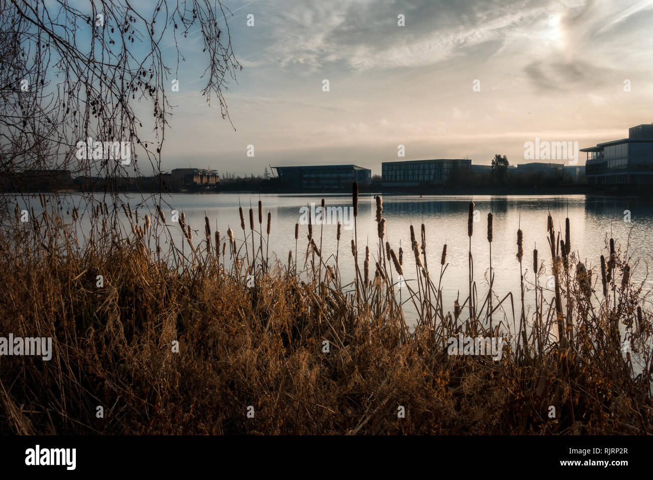 Vue sur le lac au bord de lac developement dans Doncaster par joncs - un bel endroit pour marcher avec la nature dans un milieu urbain Banque D'Images