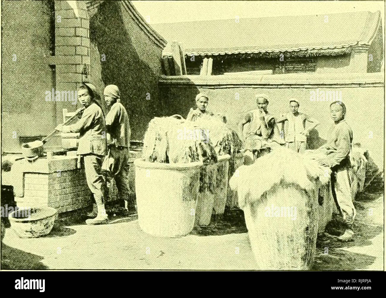 . Aus dem reiche der pelze. bd. I : Geschichte des rauchwarenhandels. bd. II : der Naturgeschichte. pelztiere Animaux à fourrure ; commerce des fourrures. 6. Chapitre. 253 werk, Seotterfellen Landottern, Biber,, SilberfLichscn Rotfiichscn Blaii, Luchsen- und, usw. versorgen konnte. Ende des 18. Jahrhunderts bcgann aber auch die Einfuhr aiif Voir dem- wege nach, Canton, wo die ostindische Kompanie être Faktoreien griindet-. Si schickte z. B. die schon 1797 Nordwest-Kompanie 13364 Biber, 1250 Ottcrn Kiftuchse 1724 feine und direkt nach China. In den Jahren 1797 bis 1807 kamen allein von der Siidk Banque D'Images