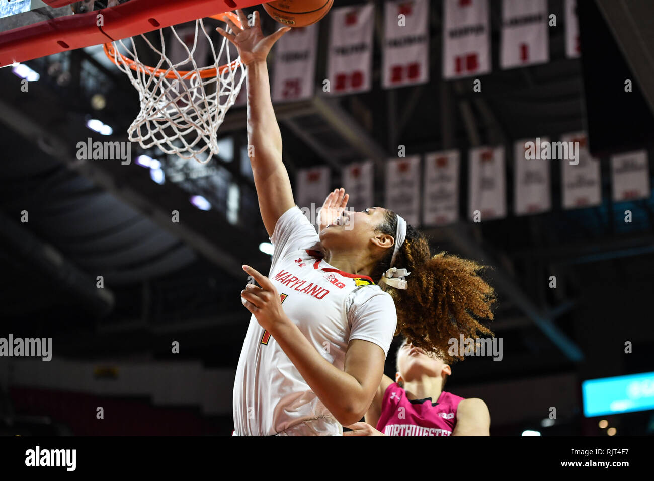 College Park, Maryland, USA. 7 Février, 2019. Le Maryland Terrapins avant SHAKIRA AUSTIN (1) va au panier pour une mise en place au cours de la seconde moitié contre le nord-ouest au centre des Wildcats Eurosport France. Credit : Terrence Williams/ZUMA/Alamy Fil Live News Banque D'Images