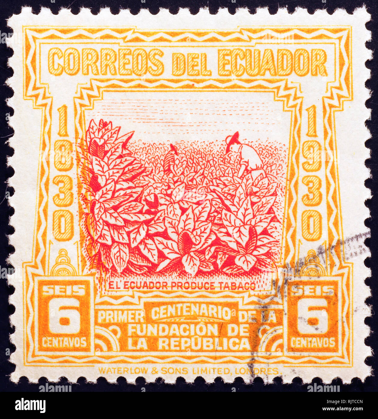 Plantation de tabac sur des timbres anciens de l'Équateur Banque D'Images