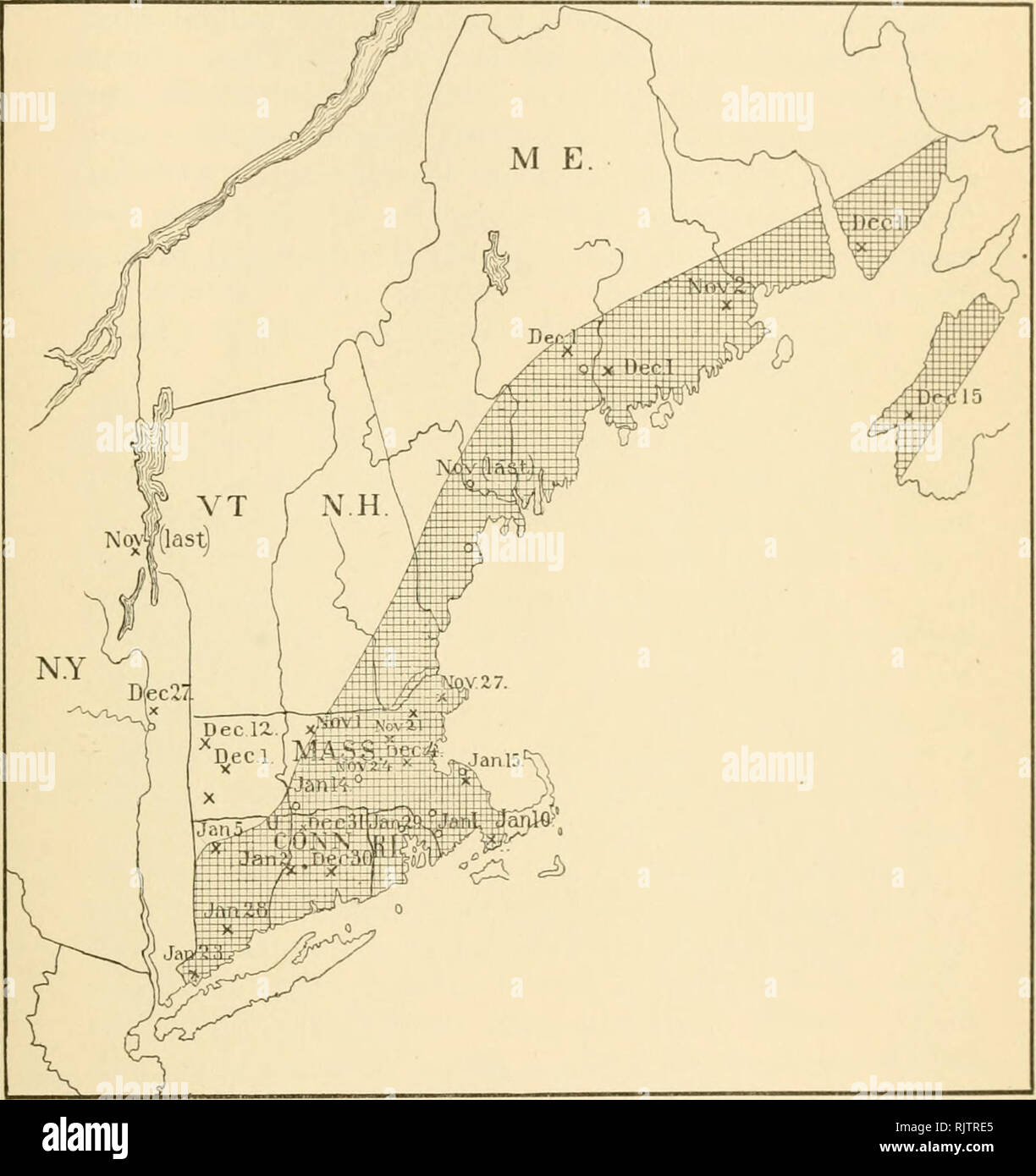 . Le Pingouin. Les oiseaux. Tome XII 1895 Brewster sur le Durbec. 253 Ainsi, à Andover, Massachusetts, douze hommes rouges ont été tués ; dans l'élaboration de jambon- 2 ont été prises au début de décembre, et bien la prise de vue a été rapporté plus tard dans le mois. Des rapports similaires venait de plusieurs autres stations.. I. La carte de l'DisTRiBtTiox Durbec, hiver 1S92-93. Il reste à discuter de la route prise par le Gros-bec au cours de cette remarquable vol, et pour définir la zone où ils sont connus pour avoir couvert. Le manque d'observateurs au nord de nouveau. Veuillez noter que ces images sont extraites de la page numérisée des images qui peuvent avoir être Banque D'Images . Le Pingouin. Les oiseaux. Tome XII 1895 Brewster sur le Durbec. 253 Ainsi, à Andover, Massachusetts, douze hommes rouges ont été tués ; dans l'élaboration de jambon- 2 ont été prises au début de décembre, et bien la prise de vue a été rapporté plus tard dans le mois. Des rapports similaires venait de plusieurs autres stations.. I. La carte de l'DisTRiBtTiox Durbec, hiver 1S92-93. Il reste à discuter de la route prise par le Gros-bec au cours de cette remarquable vol, et pour définir la zone où ils sont connus pour avoir couvert. Le manque d'observateurs au nord de nouveau. Veuillez noter que ces images sont extraites de la page numérisée des images qui peuvent avoir être Banque D'Images