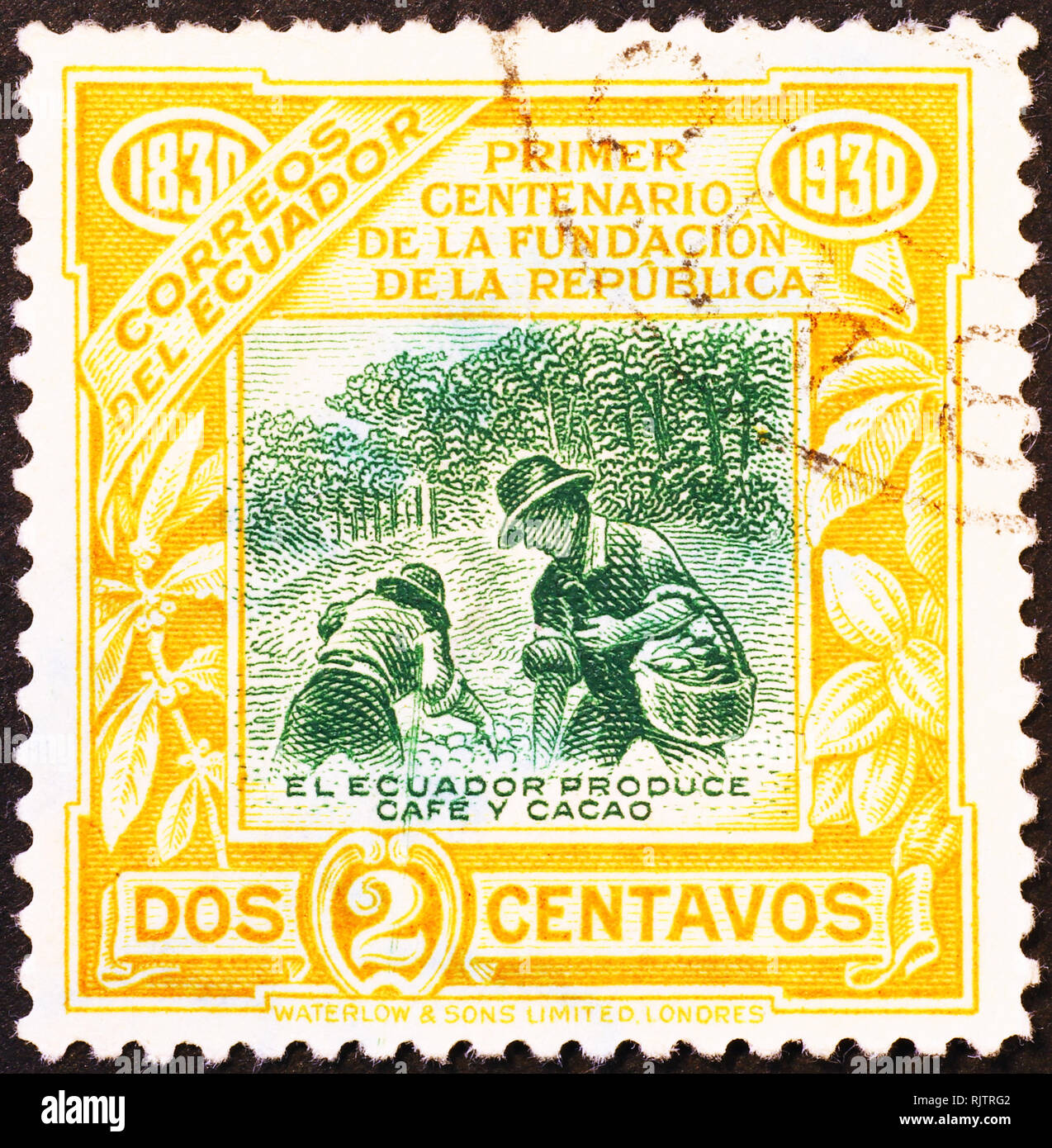 Café & cacao équatorien dans la production de timbres 1930 Banque D'Images
