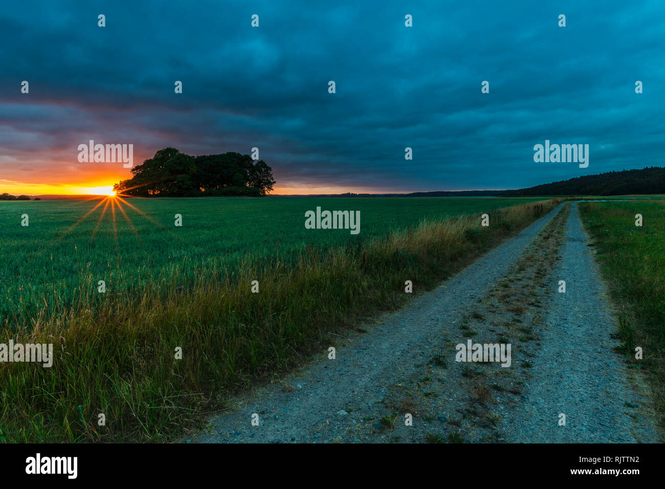 Ciel dramatique et coucher de soleil sur la voie et les terres arables, Halland, Suède, Europe Banque D'Images