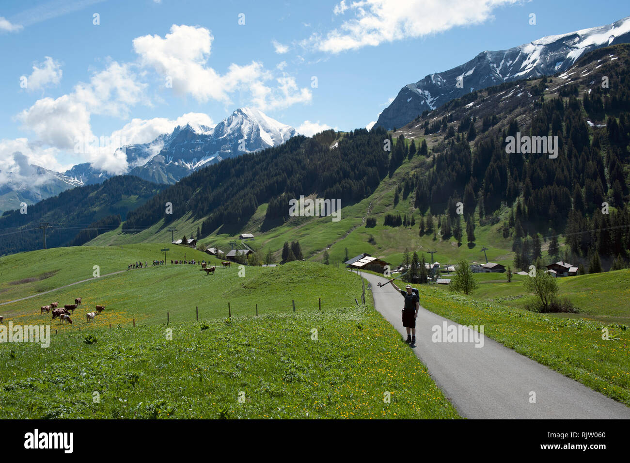 Belle alpine vista près de Adelboden, Suisse Banque D'Images