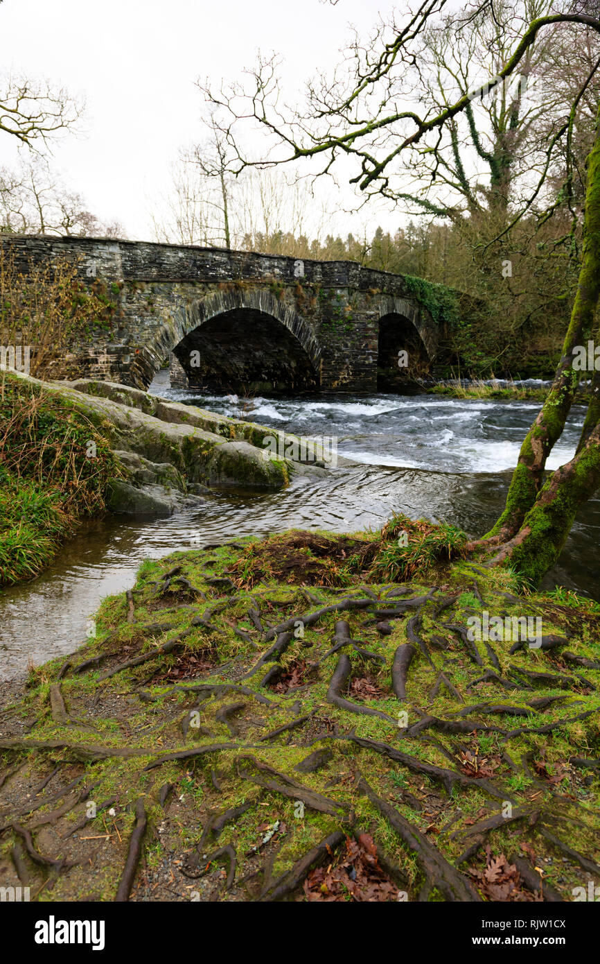 La rivière Brathay à Torver Bridge près de Ambleside, Lake District, Cumbria, Angleterre Banque D'Images