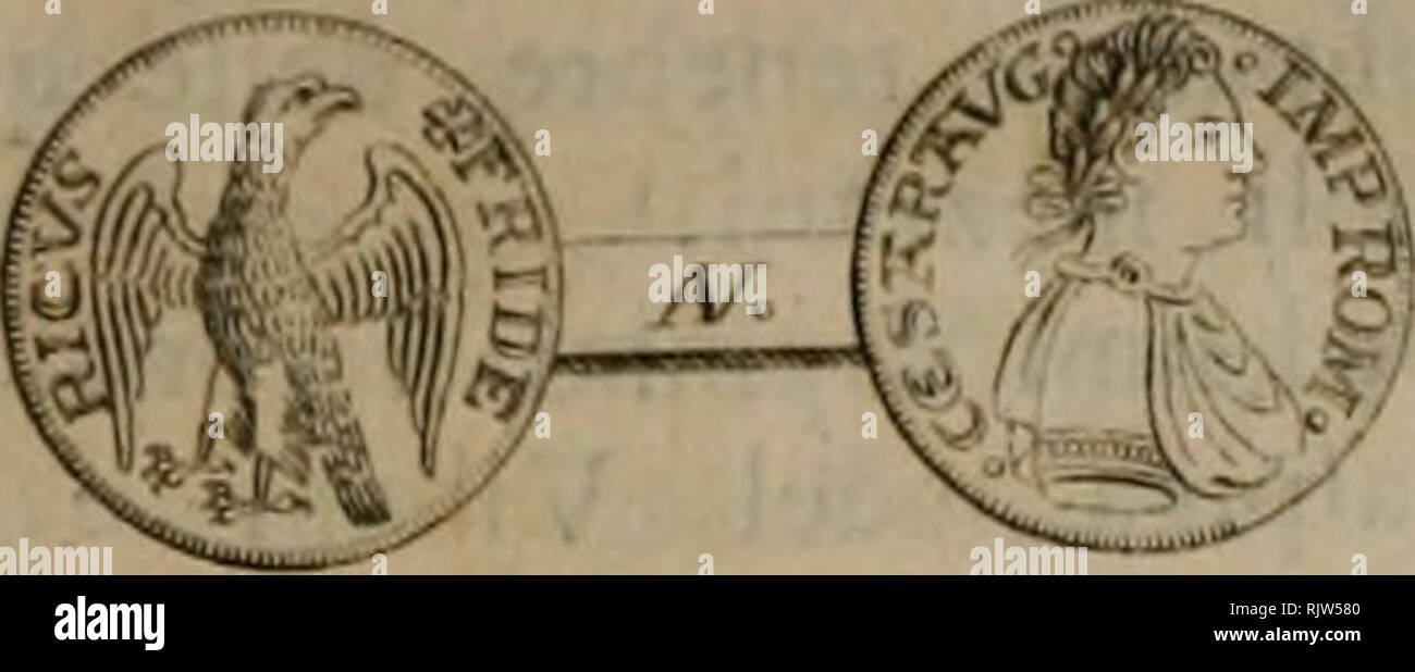 . Atti della Reale Accademia delle Scienze e Belle-Lettere) di Napoli. fabbrica, ed il titolo delle nuove monete, dans corrifpondenti tutto al valore, pefo, agoftari ; e degli bontà de au conieguenza conchiudere fi deve, che la bontà di quelli di venti carati ère e mezzo ; il che venne aussi atteftato Maftro Iacopo da di Fiorenza nella vs aritmetica nel 1307 fcritta dilfe dove, J che gli agojìari d'oro un fono carati vinti e mezzo (i). Ora par compimento dell' Opera il difegno aggiungo qui ne ricavato dall'agoftaro preifo che ho di moi. Eccolo appunto.. Eflb da un rapprefenta Iato il mezzo buft Banque D'Images