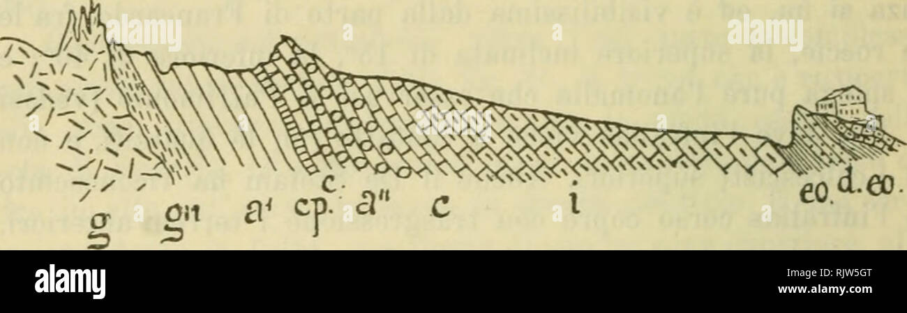 . Atti della Reale Accademia delle Scienze di Torino. 84 GAETANO ROVERETO mia précédent pubblicazione, ripetendo inconsciamente er onu- rore altrui, l'ho ritenuta superiore al retico : ma non escludo che nella parte superiore di quella pila possano esistere altri strati appartenenti periodi piÃ un¬j'ai recenti. Nel periodo eocenico questi calcari vennero profondamente erosi, e dans l'essi si intagliÃ² un'Alta Ripa, alla quale si de- positarono sedimenti conglomeratici j'en parte e e brecciati argillosi ed fini en parte di quel periodo ; dando luogo une scisti i quali contengono grossi massi arrotond Banque D'Images