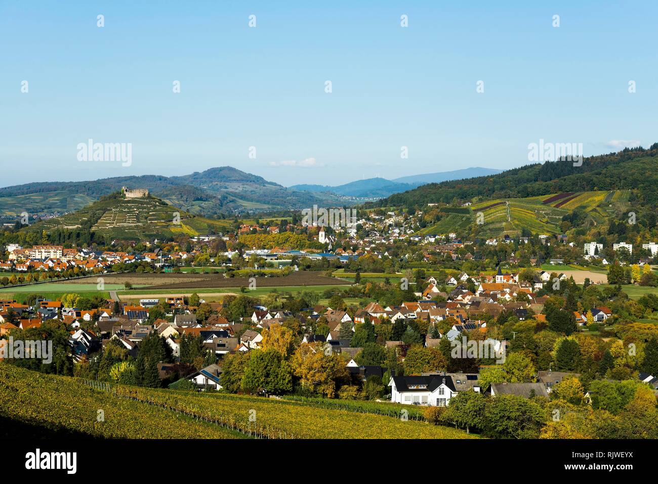 Staufen im Breisgau, Markgräflerland, Forêt-Noire, Bade-Wurtemberg, Allemagne Banque D'Images