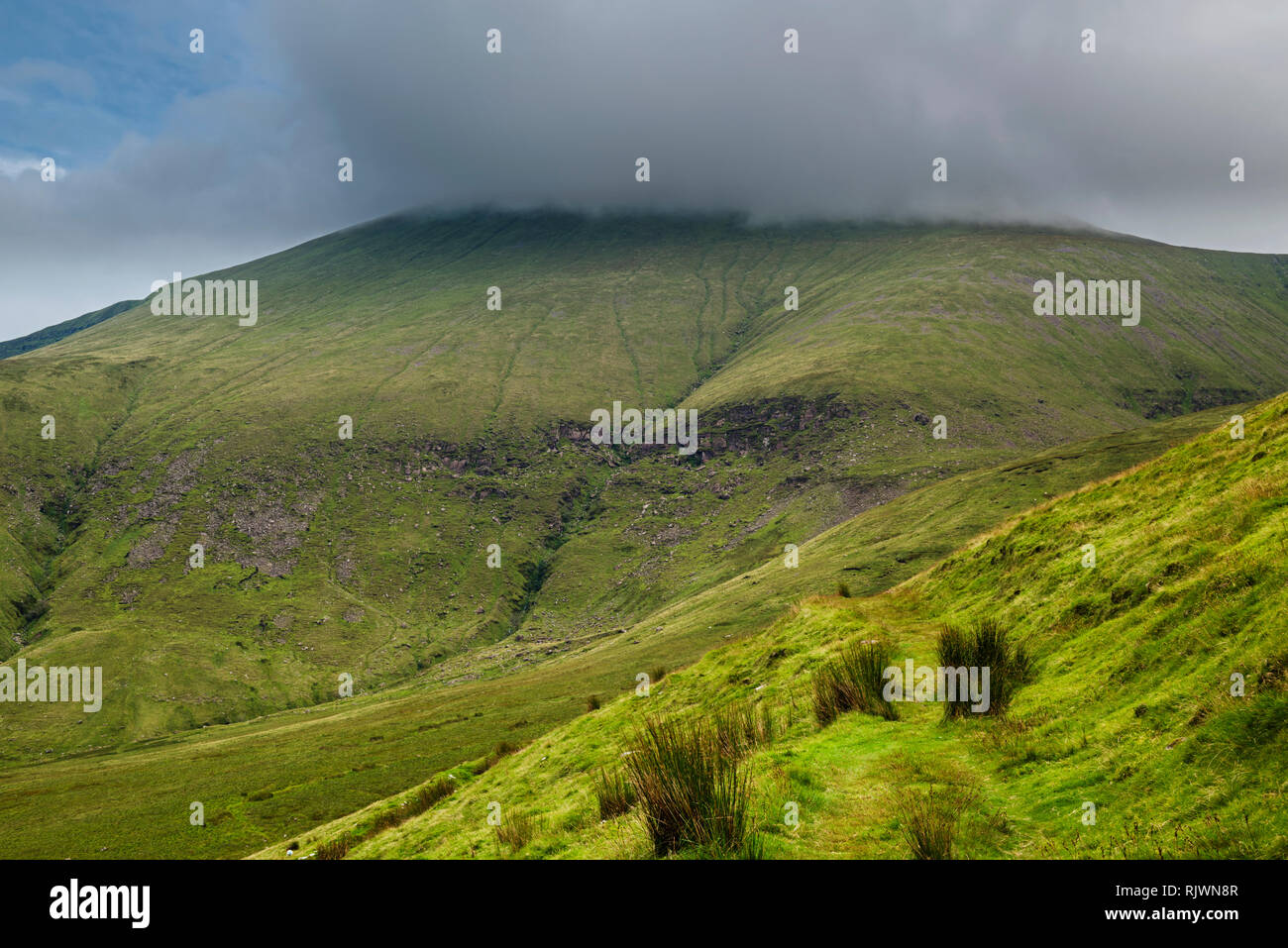 Vue vers Galtymore Mountain, enshrouded dans la brume, dans les montagnes de la gamme Galty Glen of Aherlow, comté de Tipperary, Irlande Banque D'Images