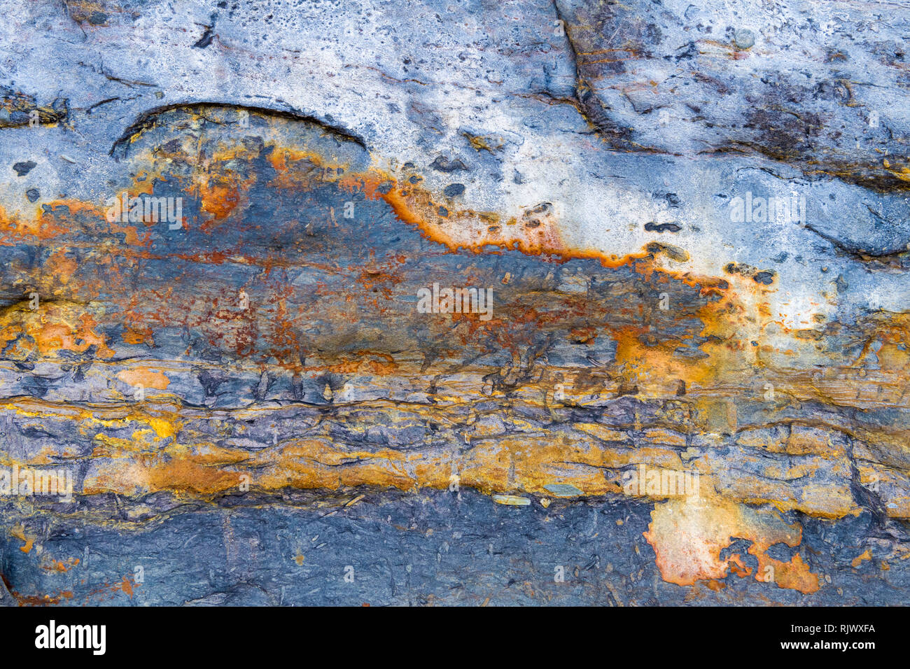 Texture de fond en pierre colorée, résumé formation de minéraux rock en milieu marin Banque D'Images