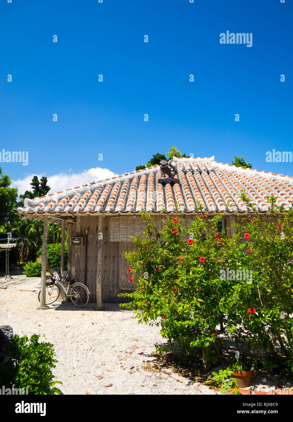 Une maison traditionnelle maison d'Okinawa (Ryukyu) avec des toits de tuiles rouges en terre cuite et shisa statue sur le toit. Île Taketomi, Îles Yaeyama, au Japon. Banque D'Images