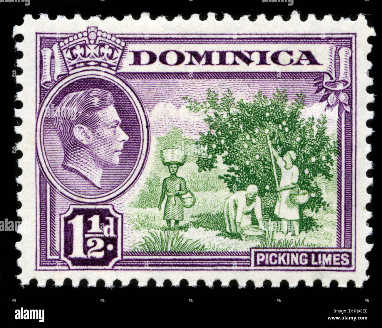 Timbre-poste de la Dominique dans le King George VI et scènes locales (1938-47) série émise en 1938 Banque D'Images