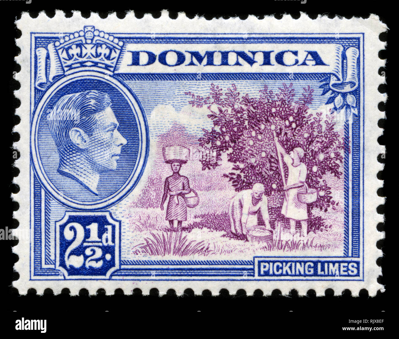 Timbre-poste de la Dominique dans le King George VI et scènes locales (1938-47) série émise en 1938 Banque D'Images