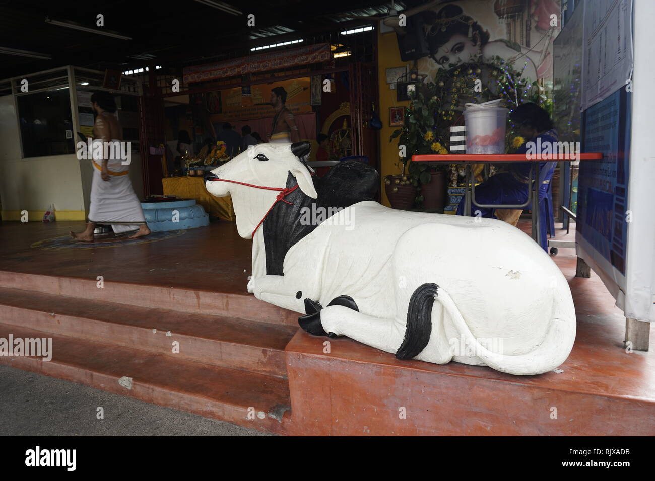Statue d'une vache blanche dans un temple hindou Banque D'Images
