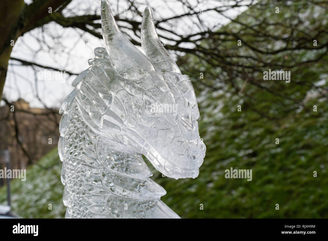 Sculpture sur glace de Dragon's Head le long de la piste de glace de York, près de la tour Clifford, dans le North Yorkshire, en Angleterre, au Royaume-Uni. Banque D'Images