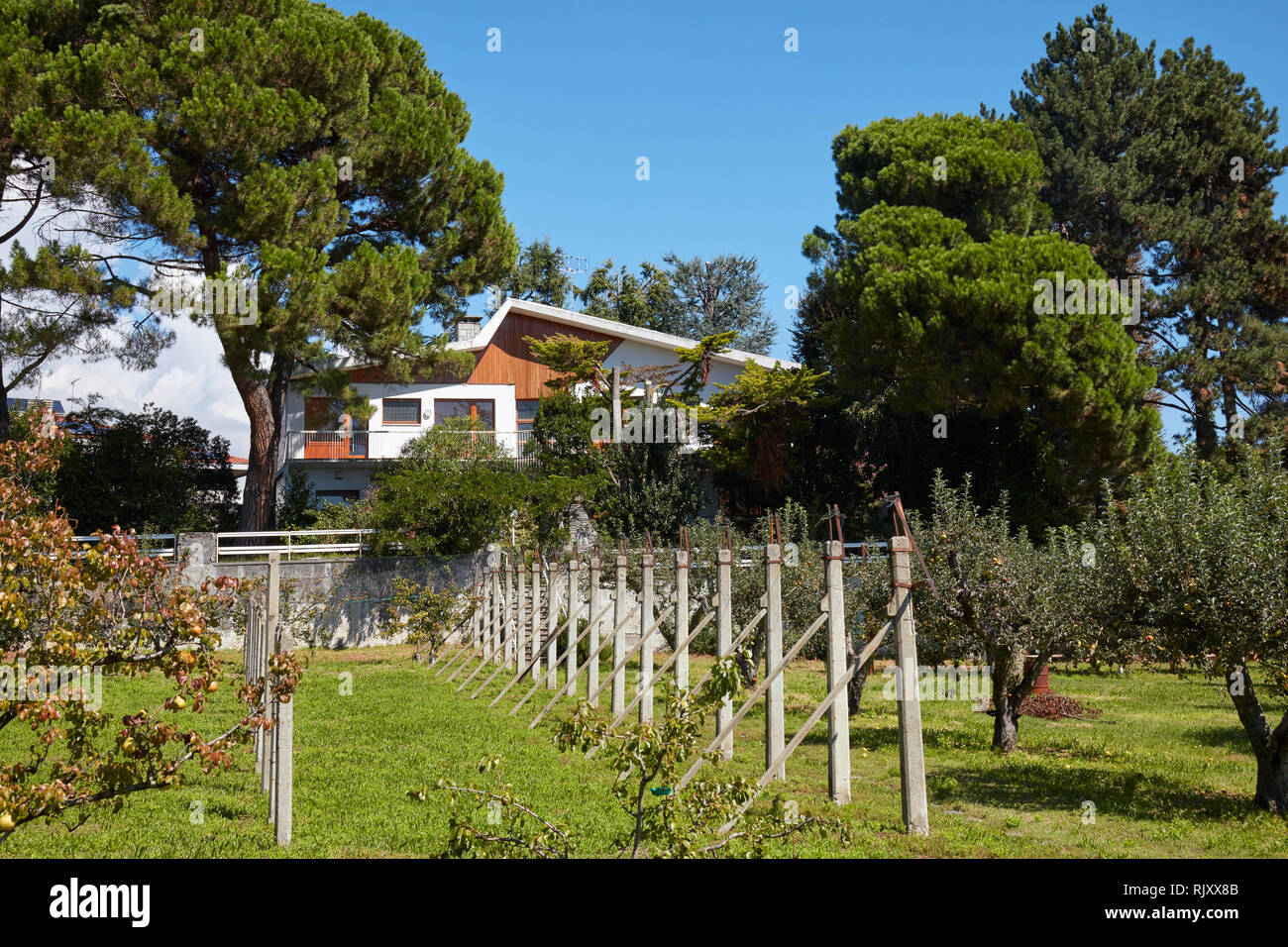 Villa avec jardin et la culture dans une journée ensoleillée, ciel bleu clair en Italie Banque D'Images
