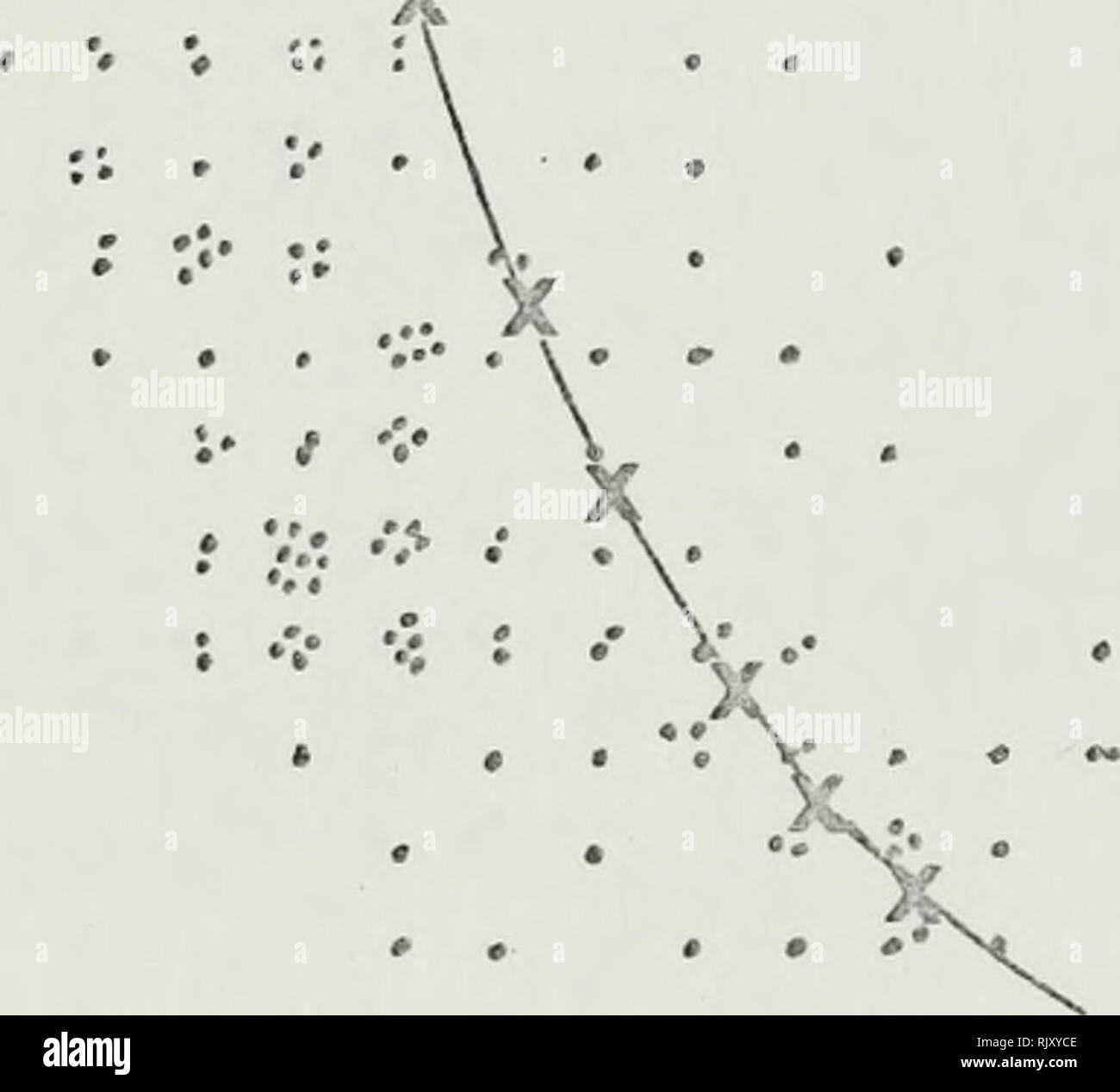 . Un atlas des mesures de transparence au disque de Secchi et Forel-Ule codes couleurs pour les océans du monde.. L'océanographie. 3530 S e c c h25 â i D 1( Visser s n : Â ¢ â ¢ â ¢ â ¢ â ¢ C V e â ¢ '. ; ; â ¢ k â ¢ P ' - t .. u v h â ¢ â ¢ ',Â ¢ t &lt;â ¢ (m)15 '. .'.' C. , ;. V, Figure 90. den Square 157 ! F Â ¢ I I D : â itud e 120- 50Â° 130Â°, Yv NORTH AMERICA ; r^ ^n ' .- I L57L I U  . Ij. Â Â ¢ c ,¦*. ... Â" Â"Â" Â" ; 510, 157. Veuillez noter que ces images sont extraites de la page numérisée des images qui peuvent avoir été retouchées numériquement pour plus de lisibilité - coloration et l'apparition de ces illustrations peuvent ne pas pe Banque D'Images