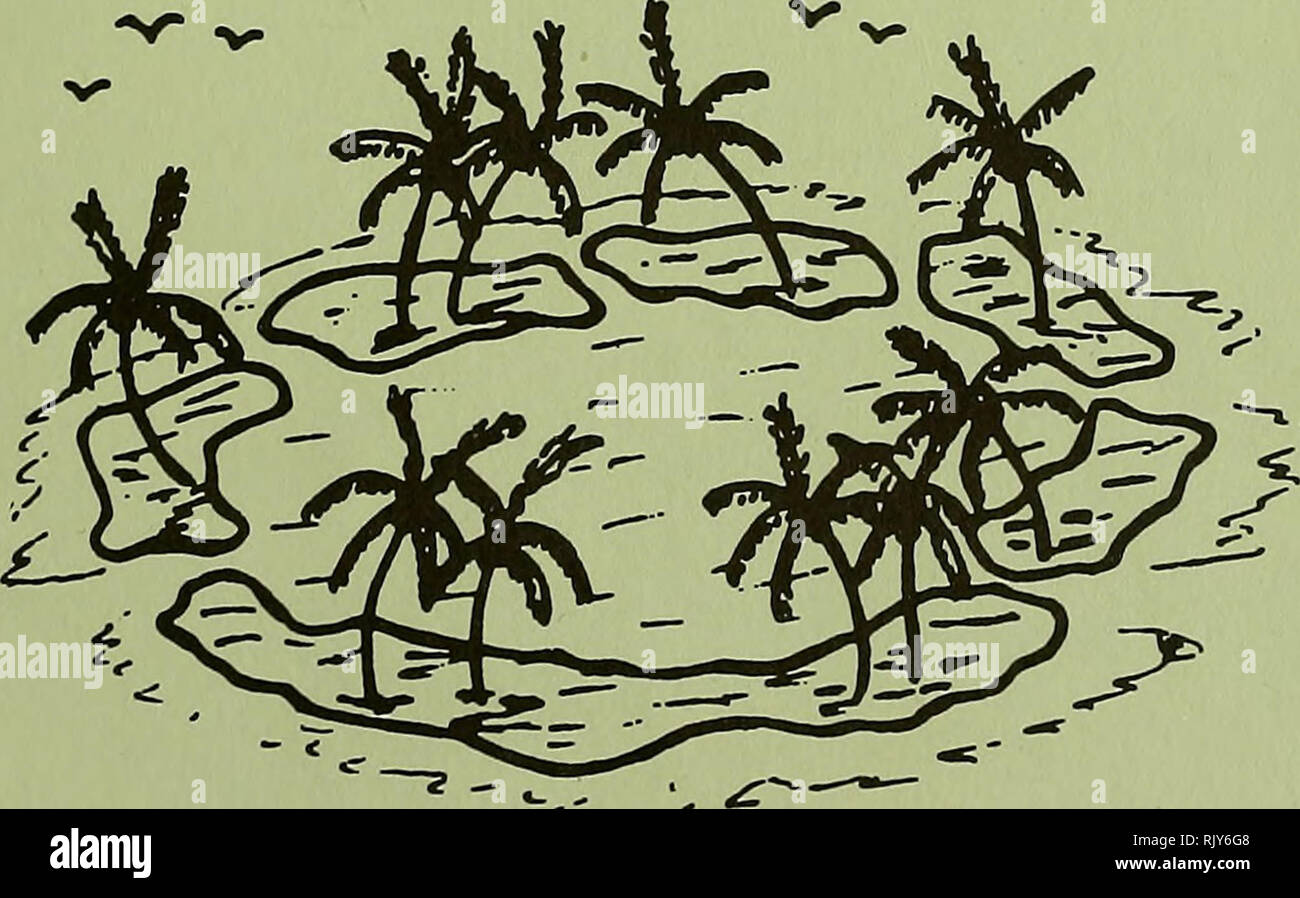 . Bulletin de recherche sur les atolls. Les récifs coralliens et d'îles ; biologie marine ; sciences de la mer. N° 233-239 7 BULLETIN DE RECHERCHE 233 ATOLL. Vérifier la liste des derniers dossiers de corail d'Aldabra (Océan Indien) par Brian Roy Rosen 234. Recifs coralliens, constructions alguaires et arrecifes a la Guade- loupe, Marie Galante et la Désirade par R. Battistini et M. Petit 235. La systématique et l'écologie des crabes de Terre (Decapoda : Coenobitidae, Grapsidae et Gecarcinidae) du centre du Pacifique, les îles Tokélaou par J. C. Yaldwyn et Kasimierz Wodzicki 236. Certains aspects de l'écologie des récifs entourant Anegada, British Banque D'Images