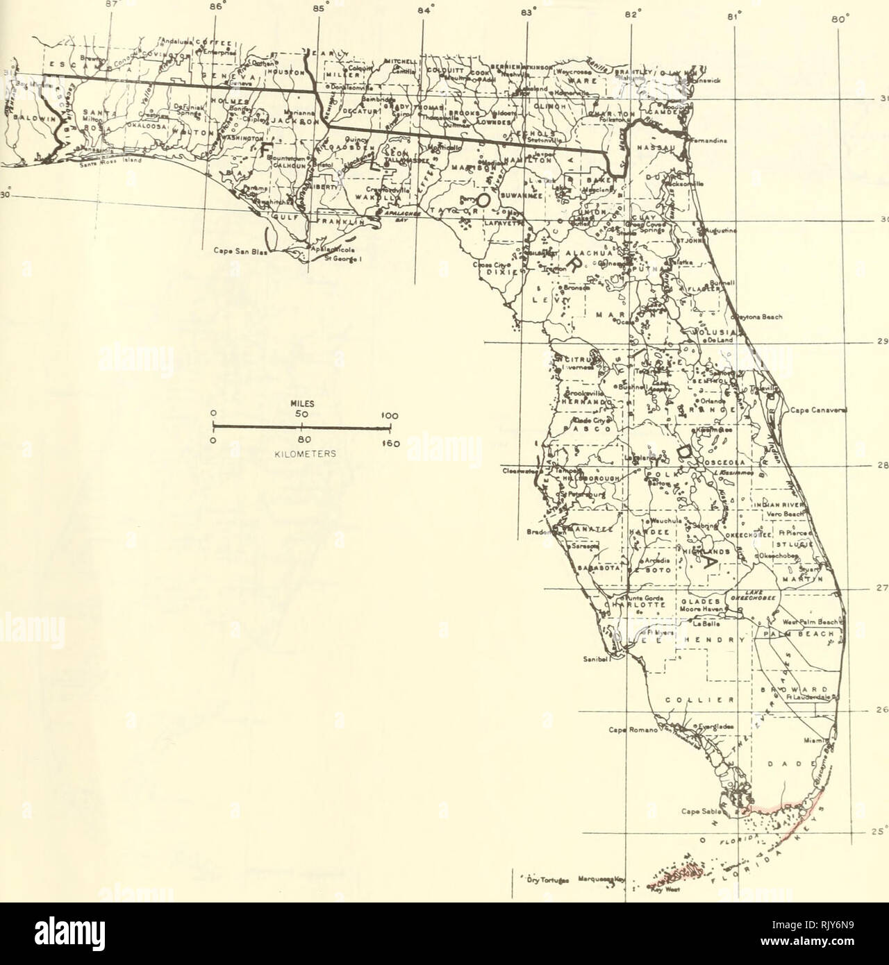 . Atlas du United States arbres : volume 5. La Floride. Les arbres. '^ Itarqu Torru, Sec.^^.K Site 214.-Hippomane mancinella L., manchineel.. Veuillez noter que ces images sont extraites de la page numérisée des images qui peuvent avoir été retouchées numériquement pour plus de lisibilité - coloration et l'aspect de ces illustrations ne peut pas parfaitement ressembler à l'œuvre originale.. Peu, Elbert L. (Elbert Luther), 1907-2004 ; United States. Service des forêts. Washington, D. C. : U.S. Dept. of Agriculture, Forest Service Banque D'Images